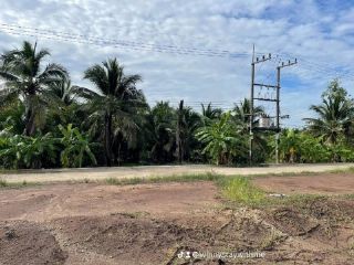 ขายที่ดิน​ ถนน​รุ่งเกษตร 2ไร่​ ตำบลบางยาง​ อำเภอกระทุ่มแบน​ จ.สมุทรสาคร​
