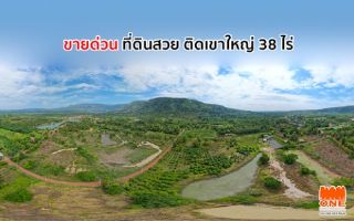 ขายที่ดินพัฒนาแล้ว ติดเขาใหญ่ 38 ไร่ บรรยากาศดีมาก วิวสวย พร้อมน้ำตก ไม้ป่าและไม้มงคล น้ำ-ไฟพร้อม