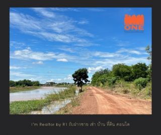 ขายที่ดินเปล่า 50 ตารางวา ติดมหาวิทยาลัยพิษณุโลก ตำบลสมอแข อำเภอเมืองพิษณุโลก