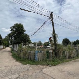 ขายที่ดินเปล่านครนายก เหมาะกับทำบ้านสวน ที่ดิน 2ไร่ อ.เมือง จ.นครนายก 1 กม. ถึงถนนใหญ่ ใกล้หลวงพ่อปากแดง ทำเลเยี่ยม