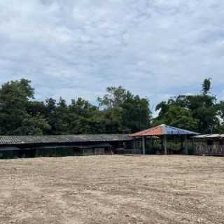ขายบ้านพร้อมที่ดิน นครนายก เหมาะกับทำบ้านสวน ที่ดิน 2ไร่ 32 ตรว.อ.เมือง จ.นครนายก 1 กม. ถึงถนนใหญ่ ใกล้หลวงพ่อปากแดง ทำเลเยี่ยม