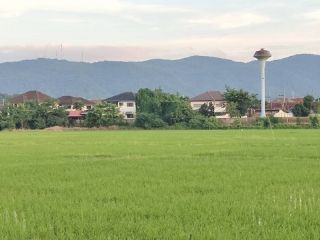 ขายที่ดินเปล่า 32 ไร่ 3 งาน 17 ตรว. ใกล้ เซ็นทรัลเชียงราย จังหวัด เชียงราย