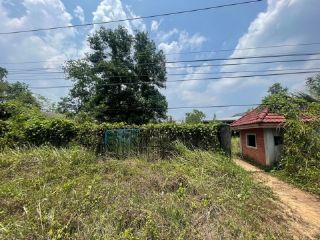 ขาย ที่ดินพร้อมสิ่งปลูกสร้าง  อำเภอคุระบุรี พังงา  ห่างจาก โรงพยาบาลคุระบุรีชัยพัฒน์ 1.8 km.