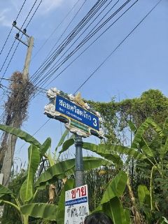 พื้นที่ดิน - ใกล้ โรงเรียนปทุมวิไล ศาลากลางปทุมธานี โลตัสปทุมธานี โรงพยาบาลปทุมธานี อยู่ย่านใจกลางเมืองปทุม เขตชุมชน 23000 บาท  ขนาด 200 Square Wah 0 ngan 0 Rai ออกแบบลงตัว ใกล้สถานที่ราชการ โรงพยาบาล โรงเรียน