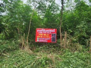 61ที่ดินคุณหนมคอลสามสิบเอ็ดทับสาม ขาย SALE พื้นที่ดิน - 0 RAI 0 ngan 102 ตาราง-วา  1000000 BAHT. ราคาถูกเหลือเชื่อ