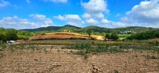 พื้นที่ดิน - สภาพเยี่ยม นครราชสีมา