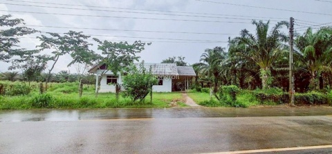 ที่ดิน  54 ไร่ 139 ตร.ว มีครบ! สวนยาง–สวนปาล์ม–บ้าน–น้ำใช้ตลอดปี จ.สระแก้ว