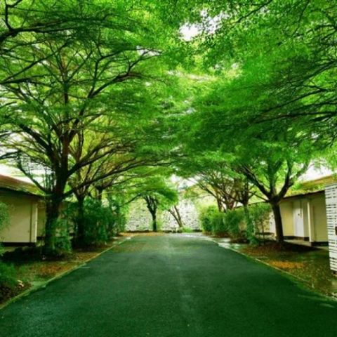 ขายรีสอร์สวย แฟนตาซีรีสอร์ท อำเภอเมืองอุบลราชธานี (พร้อมทำธุรกิจต่อได้เลย)