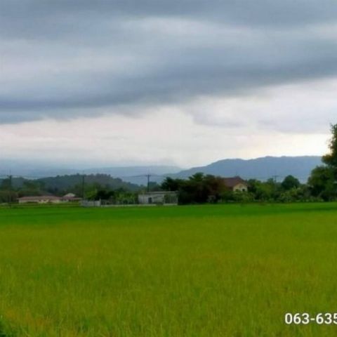 ขายที่สวยวิวเขาซอยกลางนาคาเฟ่ ต.สาริกา อ.เมืองนครนายก โฉนดครุฑแดงแบ่งแยกแล้วพร้อมโอน ใกล้ตลาดเท่งตลาดโรงเกลือ