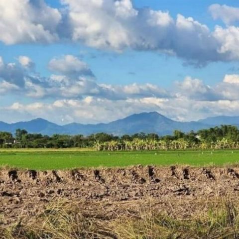 ว่างเพียง 2 ล็อคเท่านั้น ขายที่ดินสวยวิวเขา เหมาะทำบ้านสวนวัยเกษียน พักผ่อนใกล้ กทม. ต.ท่าทราย อ.เมืองนครนายก