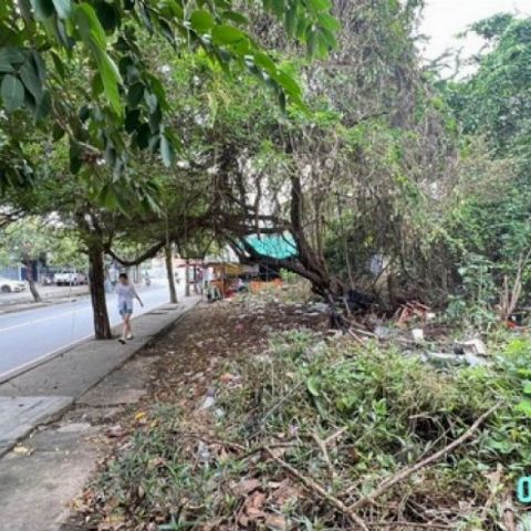 ขายที่ดิน เพชรเกษม48 เนื้อที่ 1-1-17 ไร่  รูปแปลง สี่เหลี่ยม
