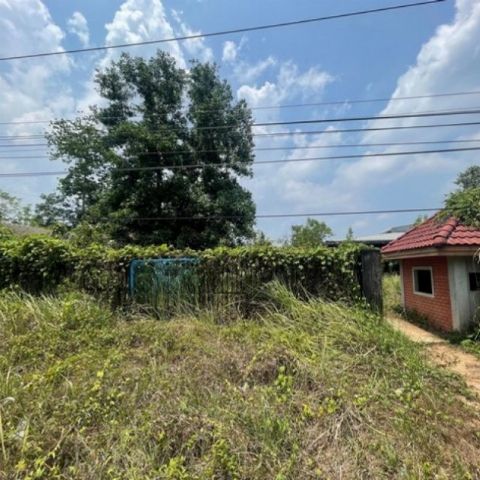 ขาย ที่ดินพร้อมสิ่งปลูกสร้าง  อำเภอคุระบุรี พังงา  ห่างจาก โรงพยาบาลคุระบุรีชัยพัฒน์ 1.8 km.
