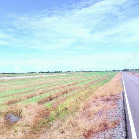 ขายที่ดินเปล่า ขนาดใหญ่  ราคาดี ทำเลบางเลน จ.นครปฐม