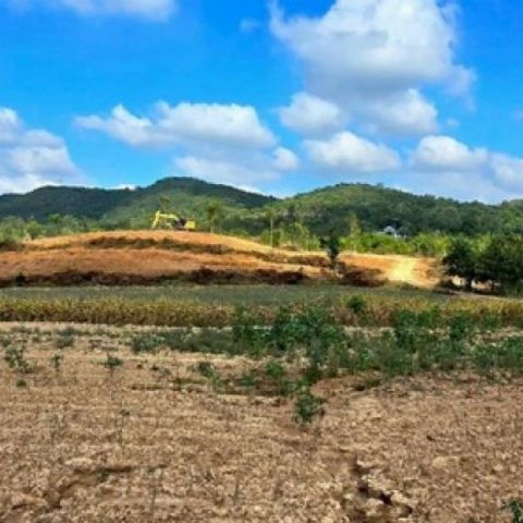 พื้นที่ดิน - สภาพเยี่ยม นครราชสีมา