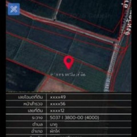 ขายที่ดิน อำเภอผักไห่ จังหวัดพระนครศรีอยุธยา เนื้อที่ 14 ไร่ 1 งาน 8 ตารางวา