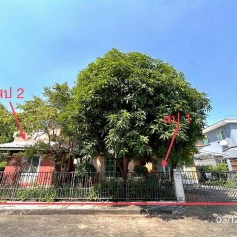 ขายบ้านเดี่ยว บ้านปาริชาต  ถนนคุ้มเกล้า ลาดกระบัง กรุงเทพ