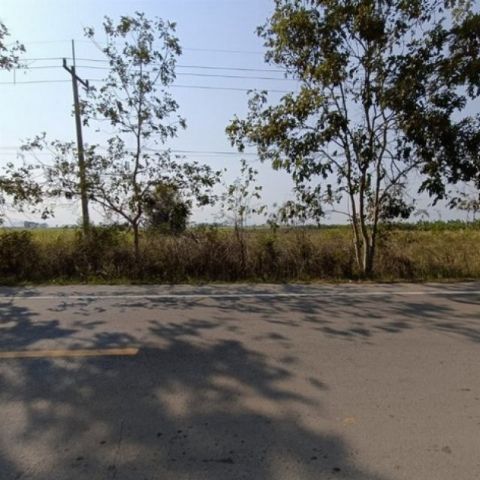 ขายที่ดินว่างเปล่า  ถนนสายบ้านหนองคล้า-บ้านหนองตะเภา  เพชรบุรี