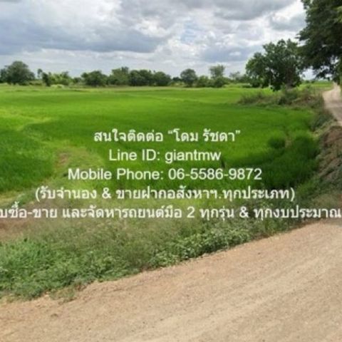 ที่ดิน //ต่ำกว่าราคาประเมิน//ขายที่ดินทุ่งนาข้าว อ.นครหลวง จ.พระนครศรีอยุธยา 17-0-76 ไร่ พ.ท. 6876 ตรว.  2800000 BAHT ไม่ไกลจาก วัดร้อยไร่ และสำนักงานเทศบาล ตำบลอรัญญิก เยี่ยม