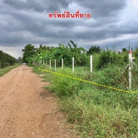 ขายที่ดินเปล่า พื้นที่ 1-1-38 ไร่ คลอง 4 รูปแปลงสวยสี่เหลี่ยมผืนผ้า คลองหลวง ปทุมธานี