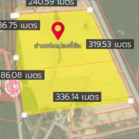 ขายที่ดินปลวกแดงระยอง ขายที่ดินระยอง 30 ไร่ (มี 2 โฉนด)  ผังสี ตำบลมาบยางพร ปลวกแดง ระยอง