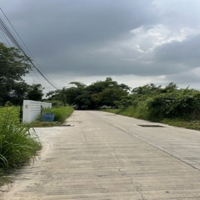 ที่ดินสี่เหลี่ยมแปลงสวย น้ำไม่ท่วม ติดถนนสาธารณะ ขายที่ดินถมแล้ว 571 ตรว ต.หนองรี อ. เมืองชลบุรี ชลบุรี
