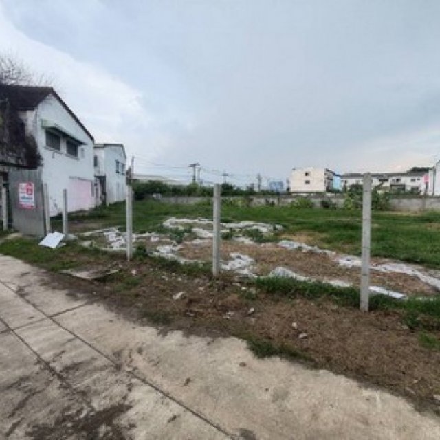 สร้างบ้านหรูบนที่ดินราคาคุ้มค่า! ขายที่ดิน 234 ตร.วา หมู่บ้านวิโรจน์วิลล์ บ้านกล้วยไทรน้อย หน้ากว้าง 20 เมตร